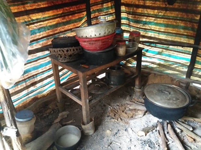 Bố mắc bệnh hiểm ngh&egrave;o, mẹ bỏ đi biệt t&iacute;ch, tương lai 2 đứa trẻ mịt m&ugrave;, c&ocirc; độc c&ugrave;ng &ocirc;ng b&agrave; trong rừng s&acirc;u - Ảnh 9.