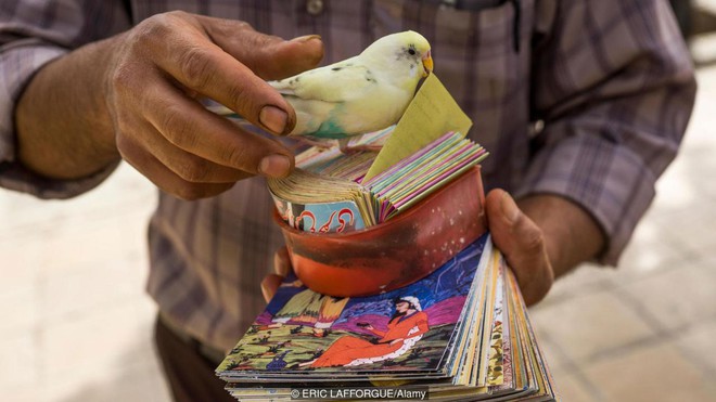 Truyền thống bói toán kỳ lạ nhất của người Iran: bói mọi lúc mọi nơi, vận mệnh đôi khi phụ thuộc vào một con chim - Ảnh 4.