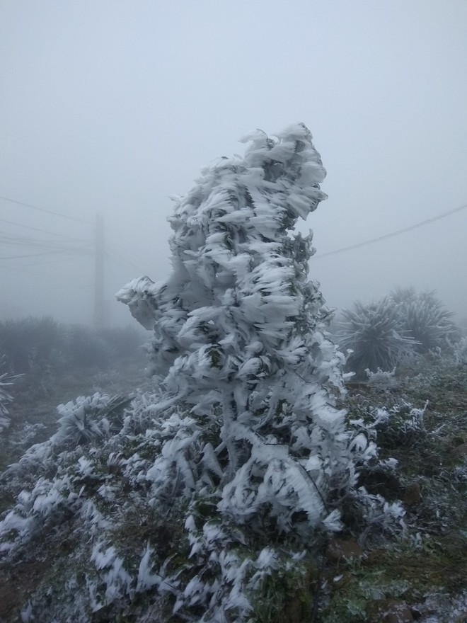 Núi Mẫu Sơn xuống âm 0,6 độ C, tiếp tục có băng giá diện rộng - Ảnh 5.