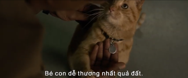 Rụng tim với biểu cảm nựng mèo cute không lối thoát của Nick Fury trong trailer Captain Marvel - Ảnh 3.