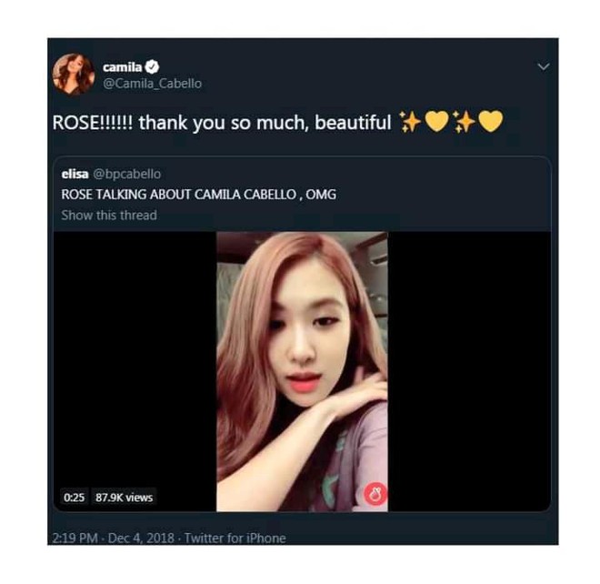 Hành động này của Camila Cabello khiến fan mong chờ về màn kết hợp với Joy (Red Velvet) và Rosé (BLACKPINK) - Ảnh 2.