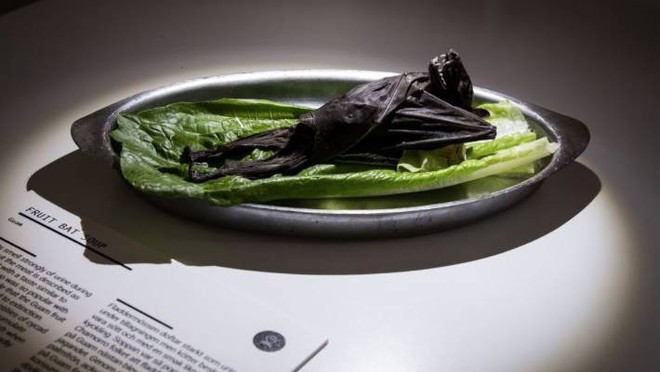 Thuỵ Điển thành lập bảo tàng: Những loại thức ăn kinh dị nhất thế giới, có tới 5 món quen ở Việt Nam được trưng bày - Ảnh 2.