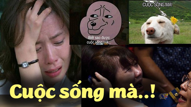 Được nhắc đi nhắc lại, d&ugrave;ng đi d&ugrave;ng lại tr&ecirc;n MXH, đ&acirc;y l&agrave; những c&acirc;u n&oacute;i đ&atilde; chiếm spotlight suốt năm 2018 - Ảnh 6.