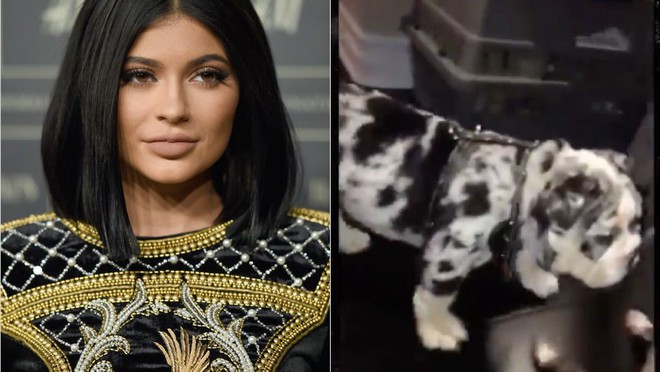 21 tuổi đã kiếm hàng ngàn tỷ đồng một năm, Kylie Jenner có cuộc sống sang chảnh và tài sản đáng ghen tị đến mức nào? - Ảnh 19.