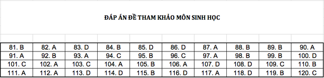 Đáp án chi tiết tất cả các môn đề thi mẫu THPT Quốc gia năm 2019 - Ảnh 5.