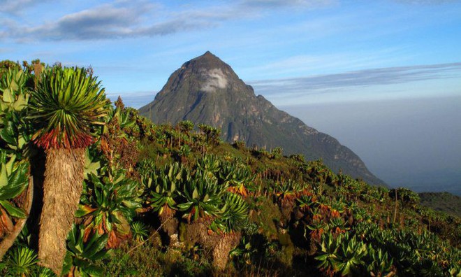 Ghé thăm khu vườn tuyệt diệu và nguy hiểm bậc nhất châu Phi: Virunga - Ảnh 1.