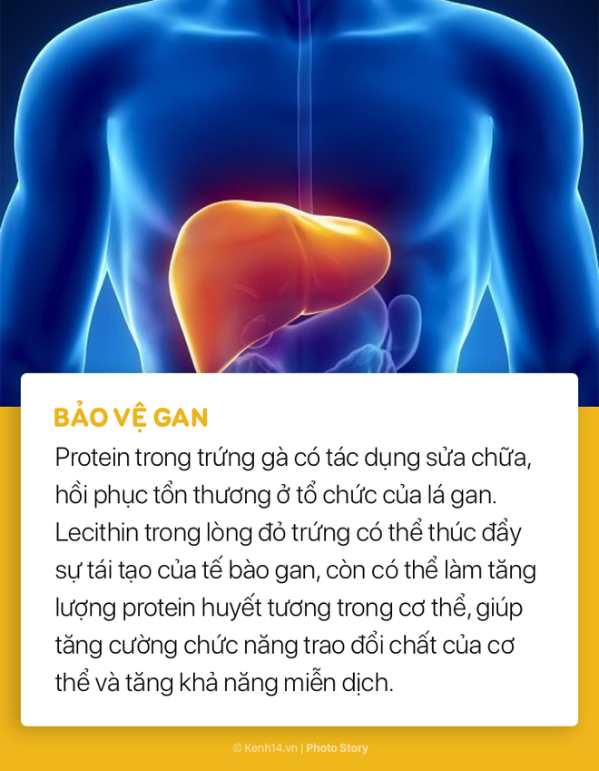 Với những lợi &iacute;ch n&agrave;y, bạn sẽ muốn bổ sung ngay trứng v&agrave;o thực đơn bữa s&aacute;ng của m&igrave;nh - Ảnh 9.