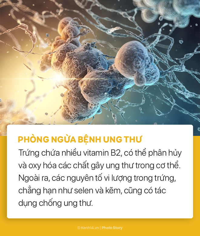 Với những lợi ích này, bạn sẽ muốn bổ sung ngay trứng vào thực đơn bữa sáng của mình - Ảnh 11.