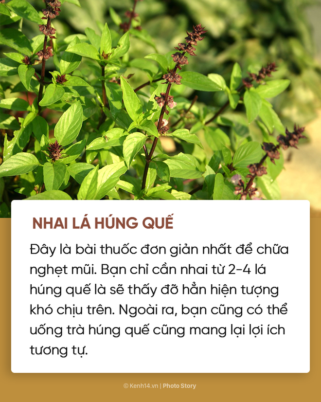 Không cần phải dùng đến thuốc vẫn chữa được ngạt mũi, sổ mũi nhờ những mẹo này - Ảnh 7.