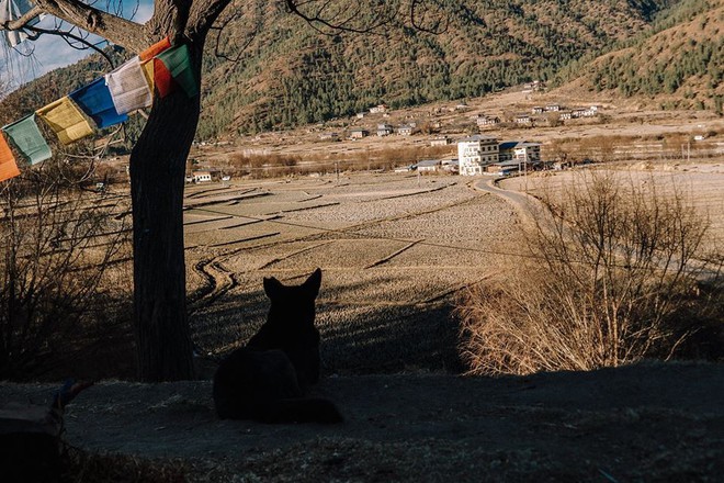 Ngắm Bhutan đẹp ngoài sức tưởng tượng dưới ống kính của travel blogger Nhị Đặng - Ảnh 12.