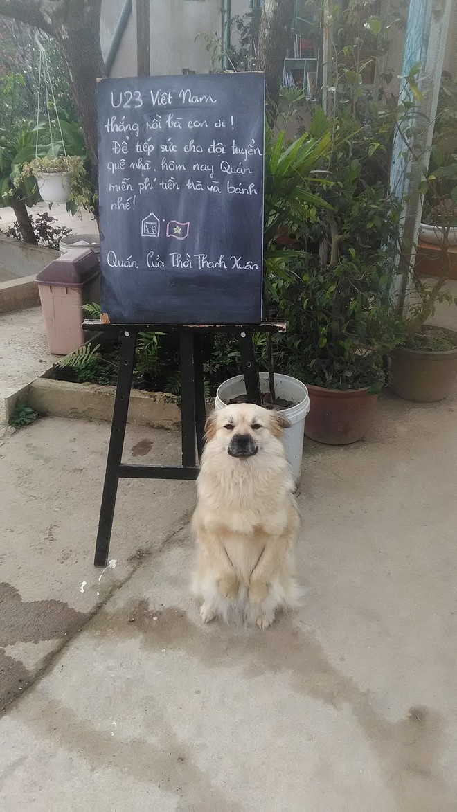 Sale 23%, sale cho kh&aacute;ch tr&ugrave;ng t&ecirc;n với cầu thủ - đ&acirc;y l&agrave; c&aacute;ch h&agrave;ng loạt shop, qu&aacute;n cafe ăn mừng chiến thắng của U23 - Ảnh 11.