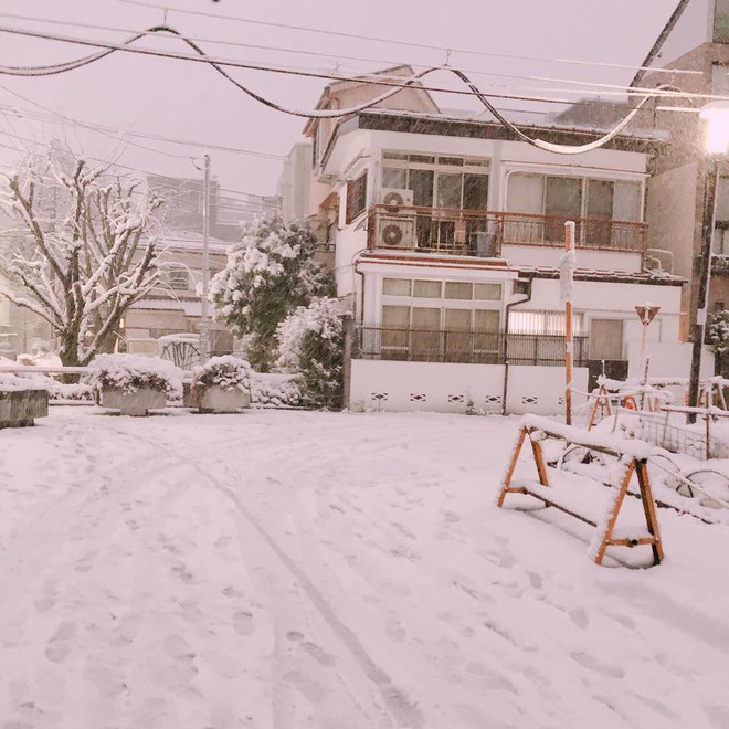 Những h&igrave;nh ảnh r&ugrave;ng m&igrave;nh trong b&atilde;o tuyết kỷ lục tại Tokyo: H&agrave;ng trăm chuyến bay bị hủy, xe đạp đ&oacute;ng băng ngo&agrave;i trời - Ảnh 1.