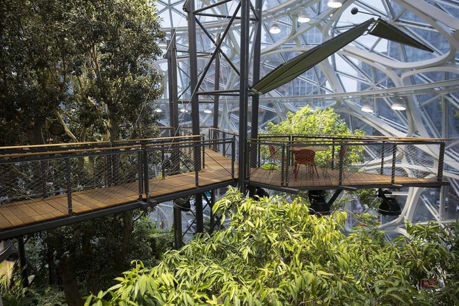 Amazon chơi trội để nhân viên làm việc trong một khu rừng nhiệt đới thu nhỏ - Ảnh 6.