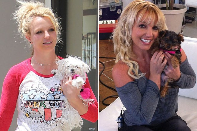 Britney Spears làm những gì mà tiêu hết 250 tỷ đồng chỉ trong 1 năm? - Ảnh 4.