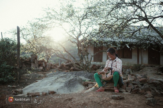 Những ng&agrave;y cận Tết, hoa mận trắng nở rộ Mộc Ch&acirc;u đẹp đến m&ecirc; mẩn - Ảnh 10.