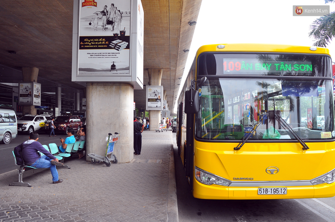 TPHCM: Hành khách được đi xe buýt miễn phí vào sân bay Tân Sơn Nhất trong dịp Tết - Ảnh 1.