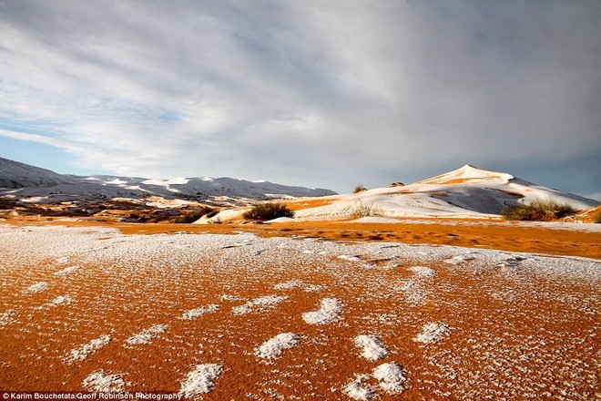 Tuyết phủ trắng nhiều vùng sa mạc Sahara lần thứ 3 trong 40 năm, có nơi dày 40cm khiến người dân kinh ngạc - Ảnh 6.