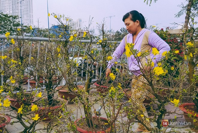 Người bán hoa Tết nghẹn lòng kể chuyện bị ép giá ngày 30: “Mong mọi người hãy bỏ tâm lý mua hoa giờ chót - Ảnh 6.