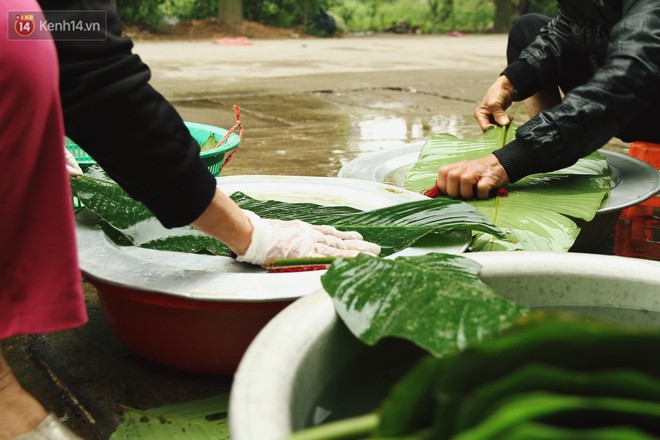 Chùm ảnh: Làng bánh chưng Tranh Khúc tất bật những ngày giáp Tết truyền thống - Ảnh 3.