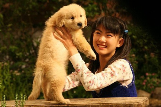 Năm Mậu Tuất và 5 câu chuyện cảm động về loài chó của điện ảnh Nhật Bản - Ảnh 7.