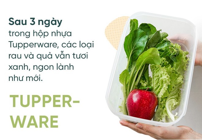 Cất rau quả trong túi ni lông lẫn hộp đựng chuyên dụng suốt 7 ngày và điều bất ngờ đã xảy ra - Ảnh 10.