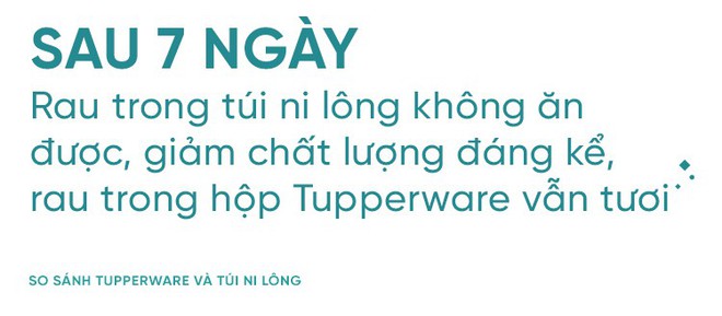 Cất rau quả trong túi ni lông lẫn hộp đựng chuyên dụng suốt 7 ngày và điều bất ngờ đã xảy ra - Ảnh 13.