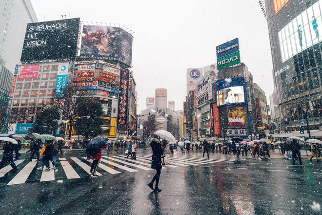 Ngắm bộ ảnh Tokyo tuyệt đẹp trong tuyết trắng dưới g&oacute;c nh&igrave;n của nhiếp ảnh gia Nhật Bản - Ảnh 21.