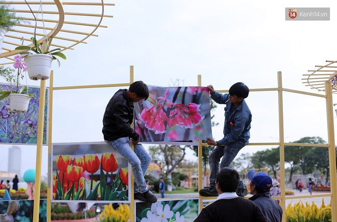 Đường hoa Xuân gần chục tỷ đồng ở Đà Nẵng thu hút người dân và du khách - Ảnh 13.