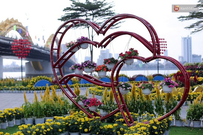 Đường hoa Xuân gần chục tỷ đồng ở Đà Nẵng thu hút người dân và du khách - Ảnh 7.