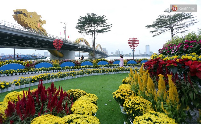 Đường hoa Xuân gần chục tỷ đồng ở Đà Nẵng thu hút người dân và du khách - Ảnh 3.