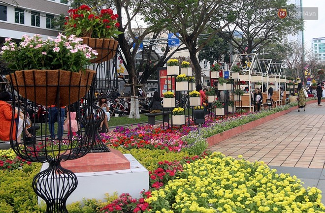 Đường hoa Xuân gần chục tỷ đồng ở Đà Nẵng thu hút người dân và du khách - Ảnh 5.