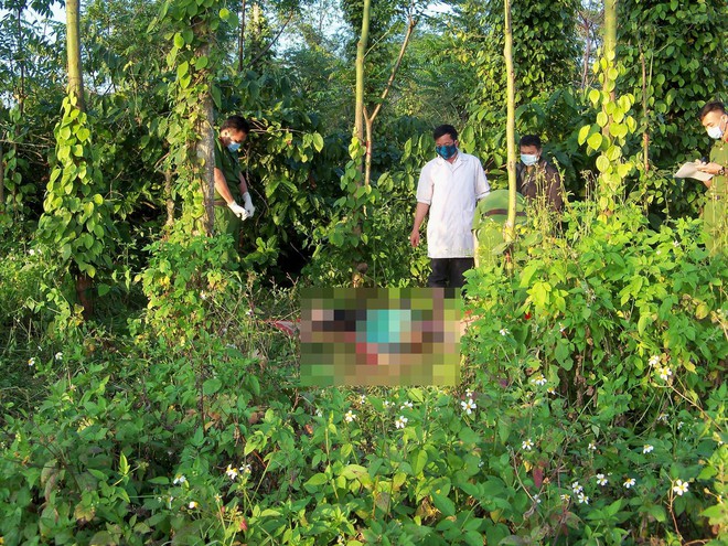 Ph&aacute;t hiện người phụ nữ mang thai treo cổ tự tử trong vườn ti&ecirc;u - Ảnh 1.