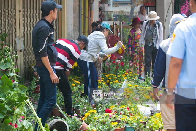 Sau khi tiểu thương tự tay đập chậu trưa 30 Tết, hàng chục người dân lao vào hôi hoa - Ảnh 2.