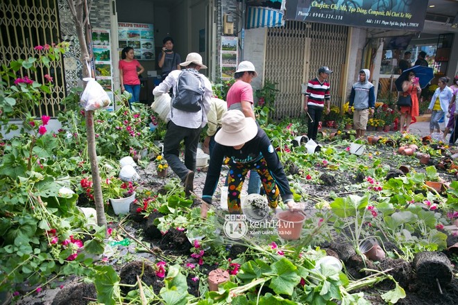 Sau khi tiểu thương tự tay đập chậu trưa 30 Tết, hàng chục người dân lao vào hôi hoa - Ảnh 3.