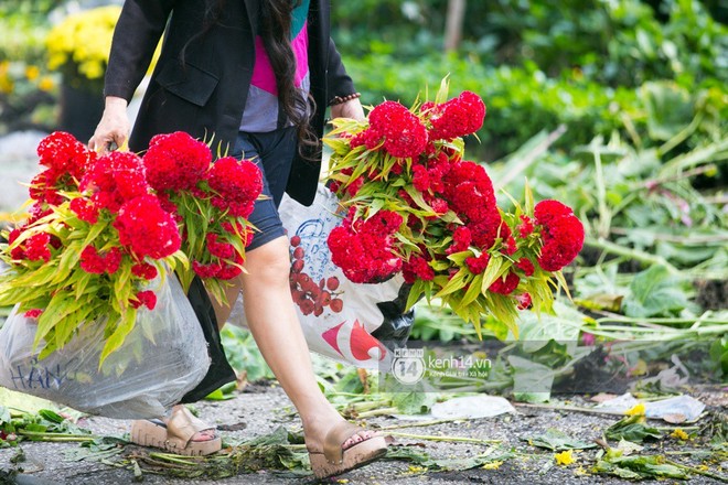 Sau khi tiểu thương tự tay đập chậu trưa 30 Tết, hàng chục người dân lao vào hôi hoa - Ảnh 16.