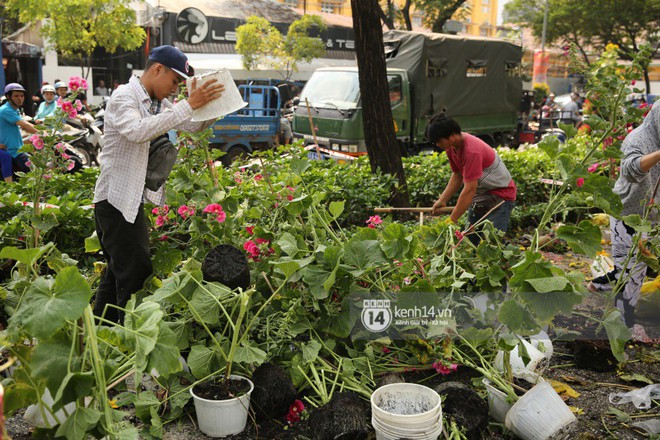 C&#226;u chuyện đ&#225;ng y&#234;u về hai vợ chồng “dịu d&#224;ng giữa thịnh nộ”: Mang hoa ế 30 Tết trang tr&#237; cho v&#242;ng xoay ở S&#224;i G&#242;n - Ảnh 1.