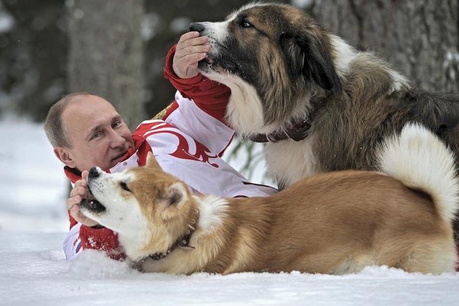 Ảnh: Niềm đam m&ecirc; ch&oacute; bất tận của Tổng thống Nga Putin - Ảnh 2.