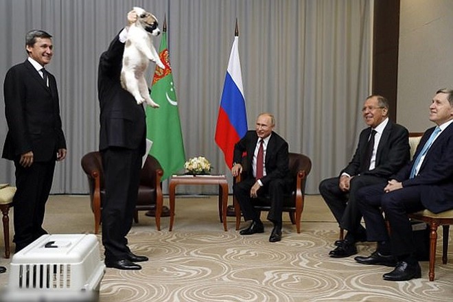 Ảnh: Niềm đam m&ecirc; ch&oacute; bất tận của Tổng thống Nga Putin - Ảnh 12.