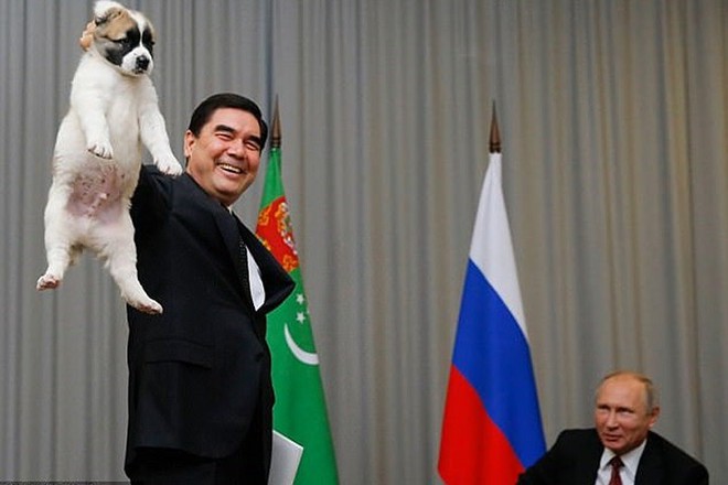 Ảnh: Niềm đam m&ecirc; ch&oacute; bất tận của Tổng thống Nga Putin - Ảnh 13.