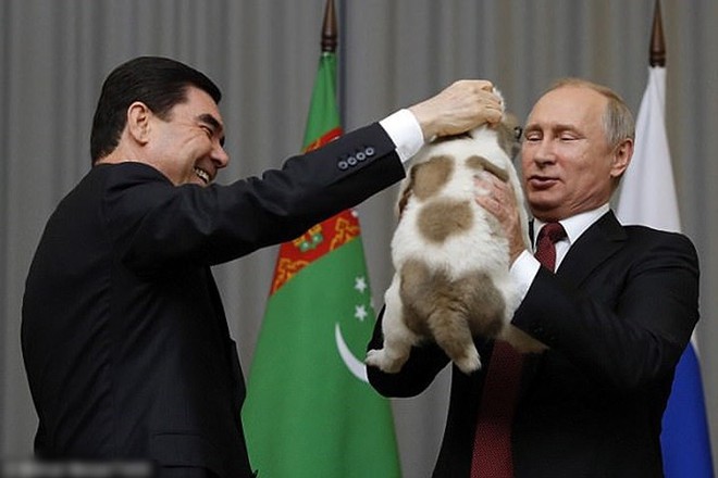 Ảnh: Niềm đam m&ecirc; ch&oacute; bất tận của Tổng thống Nga Putin - Ảnh 14.