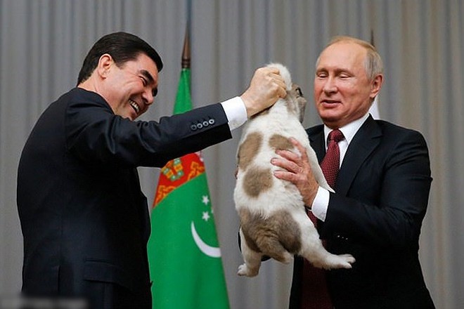 Ảnh: Niềm đam m&ecirc; ch&oacute; bất tận của Tổng thống Nga Putin - Ảnh 15.
