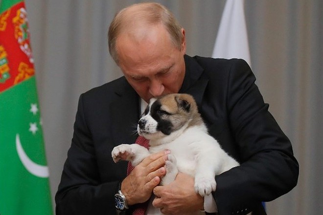 Ảnh: Niềm đam m&ecirc; ch&oacute; bất tận của Tổng thống Nga Putin - Ảnh 16.