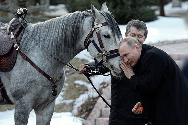 Ảnh: Niềm đam m&ecirc; ch&oacute; bất tận của Tổng thống Nga Putin - Ảnh 18.