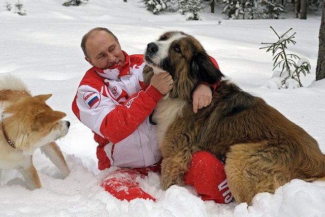 Ảnh: Niềm đam m&ecirc; ch&oacute; bất tận của Tổng thống Nga Putin - Ảnh 3.