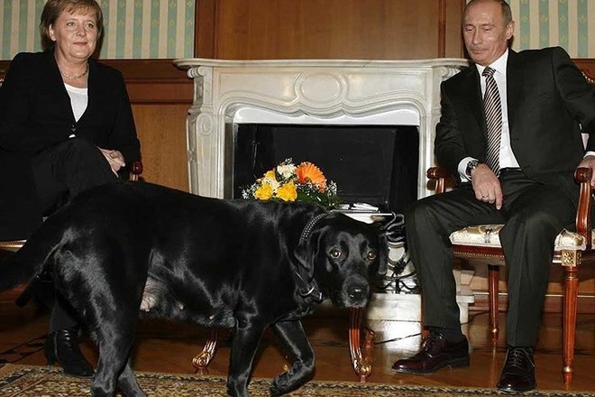 Ảnh: Niềm đam m&ecirc; ch&oacute; bất tận của Tổng thống Nga Putin - Ảnh 4.