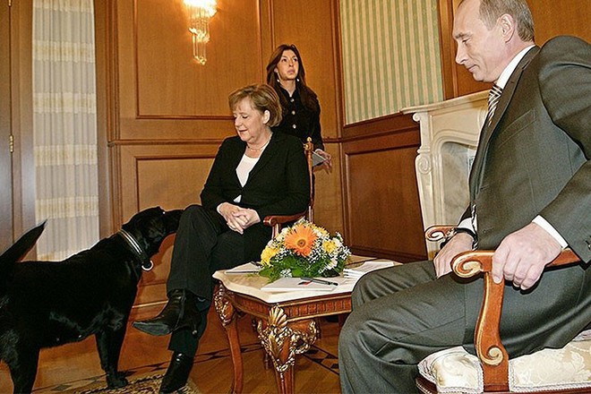 Ảnh: Niềm đam m&ecirc; ch&oacute; bất tận của Tổng thống Nga Putin - Ảnh 5.