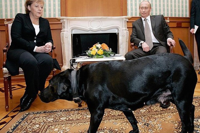 Ảnh: Niềm đam m&ecirc; ch&oacute; bất tận của Tổng thống Nga Putin - Ảnh 6.