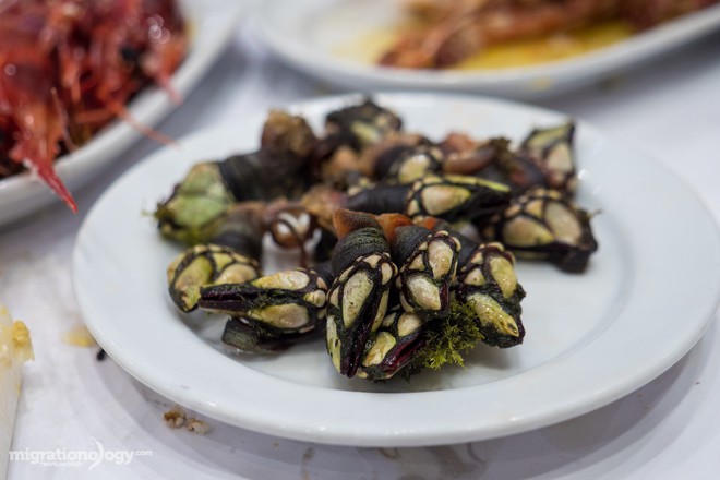Ghé thăm nhà hàng hải sản hàng đầu ở Lisbon (Bồ Đào Nha) để thấy đẳng cấp món ăn hải sản là như thế nào - Ảnh 6.