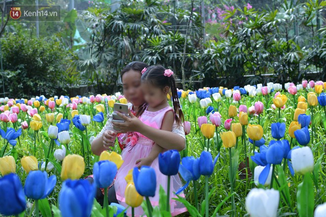 Vườn hoa tulip, hoa hồng trong Thảo Cầm Vi&ecirc;n S&agrave;i G&ograve;n bị du kh&aacute;ch thản nhi&ecirc;n giẫm đạp - Ảnh 6.