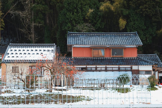 Lạnh băng giá mọi thứ nhưng mùa đông ở Nhật vẫn đẹp mê hồn - Ảnh 4.